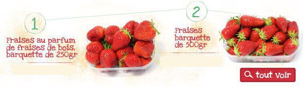 fraises et fruits de plein champs