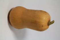 Butternut