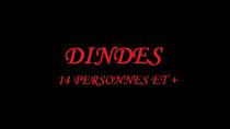 Dindes pour 14 personnes ou plus