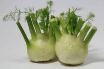 Fenouil