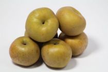 Pommes reinette du canada gris